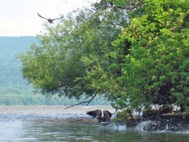 Hudson River 6-12-10